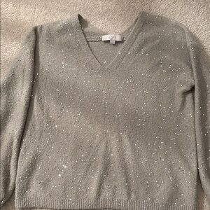 LOFT Silver Sparkle V-Neck Sweater